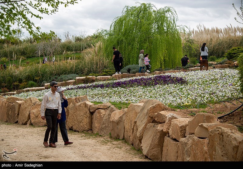 باغ گلها در شیراز