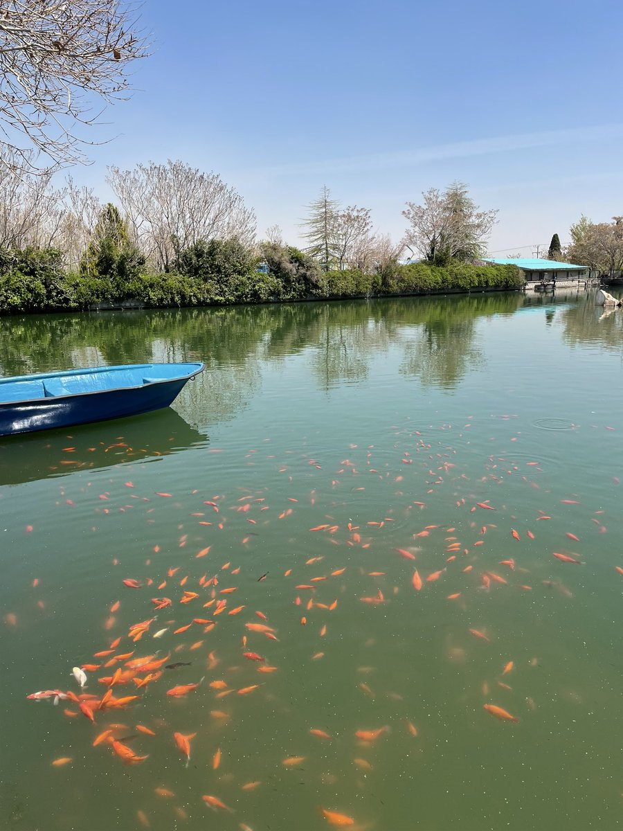 نمایی زیبا از دریاچه زیبای دانشگاه اصفهان