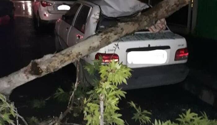 طوفان مازندران را درنوردید؛ قطعی برق برخی مناطق استان