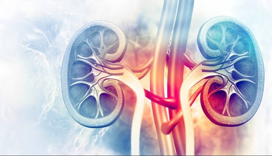 علائم نارسایی حاد کلیه و آنچه باید دربارهٔ آن بدانید
