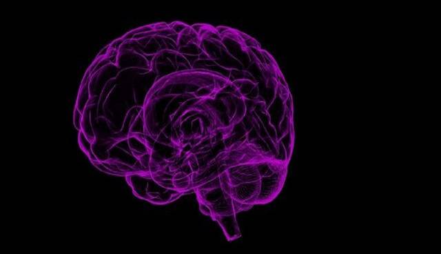 آیا مغز قادر به ترمیم خود است؟