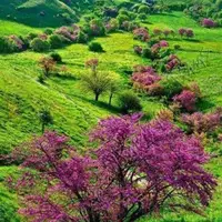 مسیر زیبایِ دره ارغوان در طرقبه 