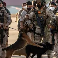 انتقاد ترامپ از نحوه خروج آمریکا از افغانستان؛ «سگ‌ها را هم جا گذاشتند»