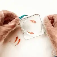 آموزش ساخت ظرف ماهی با رزین 