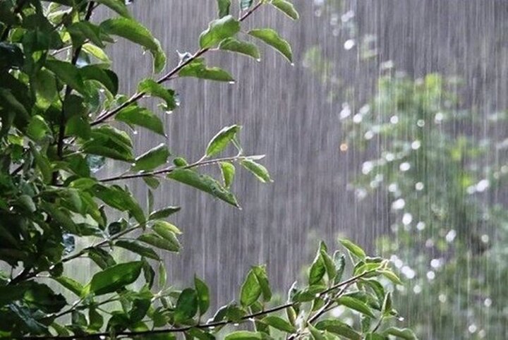 بارش باران در مناطق مختلف کشور