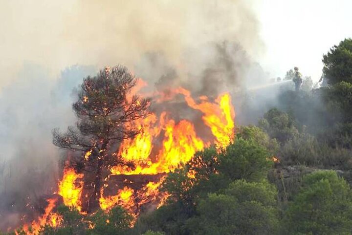 آتش‌سوزی مهیب و گسترده در پارک ملی آلتوتاجوی اسپانیا