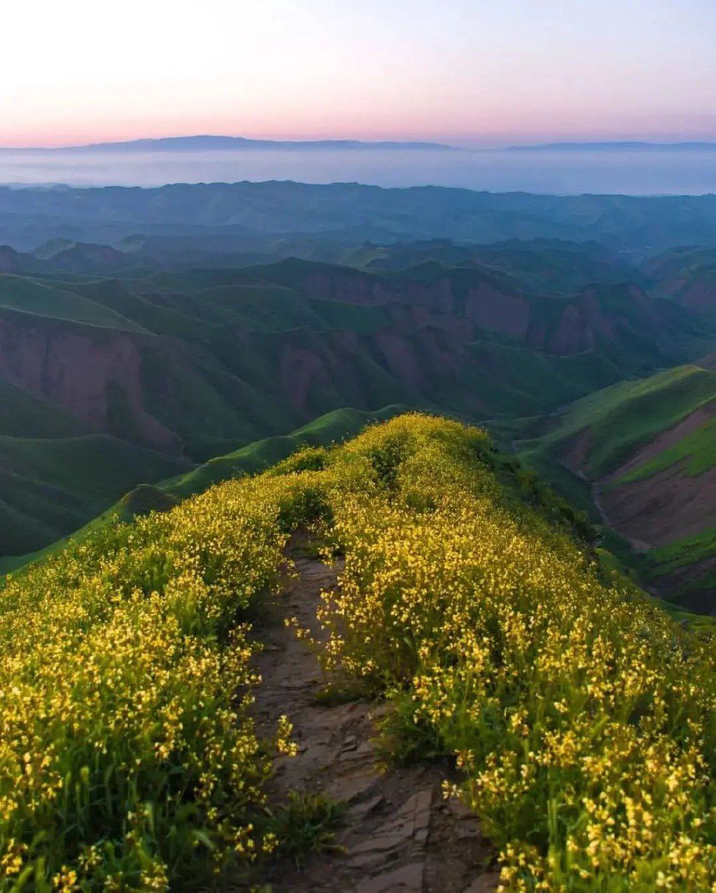 ترکمن صحرا، رویایی ترین دشت استان گلستان