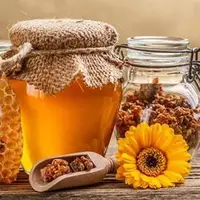 جایگاه سوم تولید عسل ایران در جهان؛ عسل ایرانی به 22 کشور صادر می شود