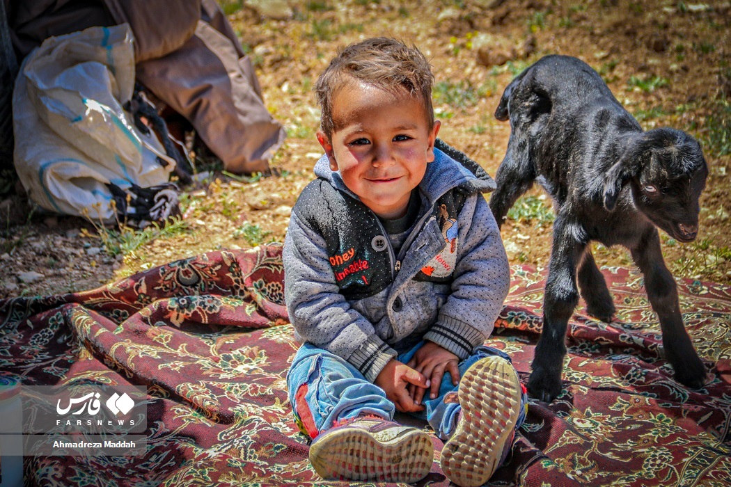 آغاز کوچ بهاره «عشایر فارس»