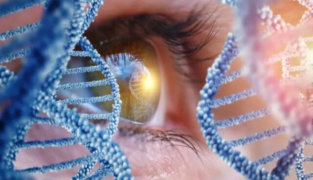 کشفی جدید درباره نحوه تکامل بینایی انسان