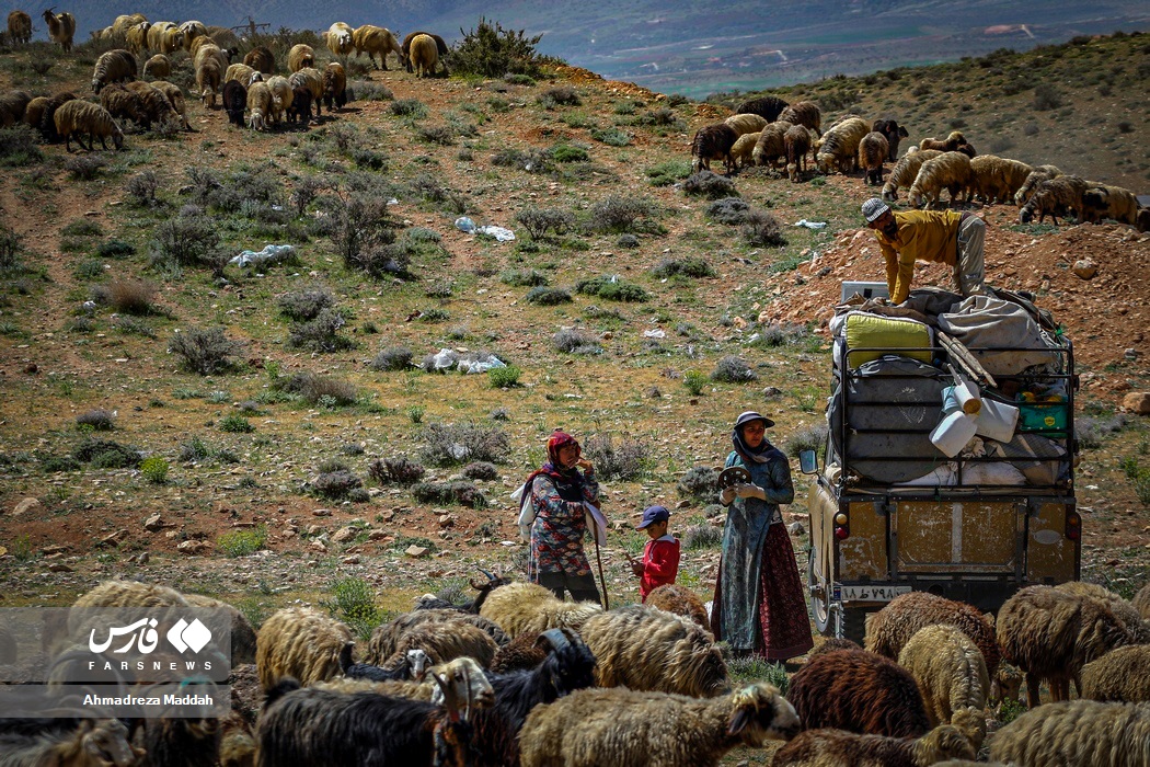 آغاز کوچ بهاره «عشایر فارس»