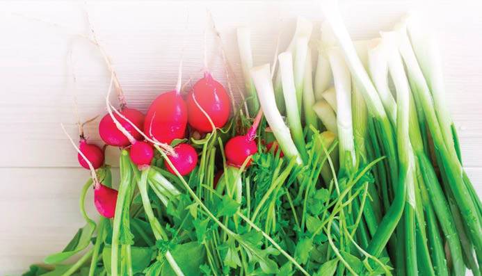 در فصل بهار سراغ کدام موادغذایی برویم؟