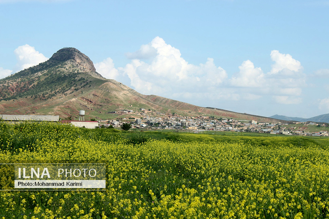 نمایی زیبا از طبیعت رنگارنگ کوهدشت