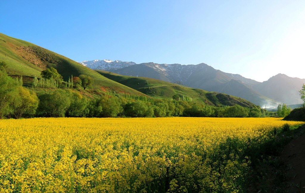  نمایی زیبا از طبیعت شهر نهاوند واقع در استان همدان