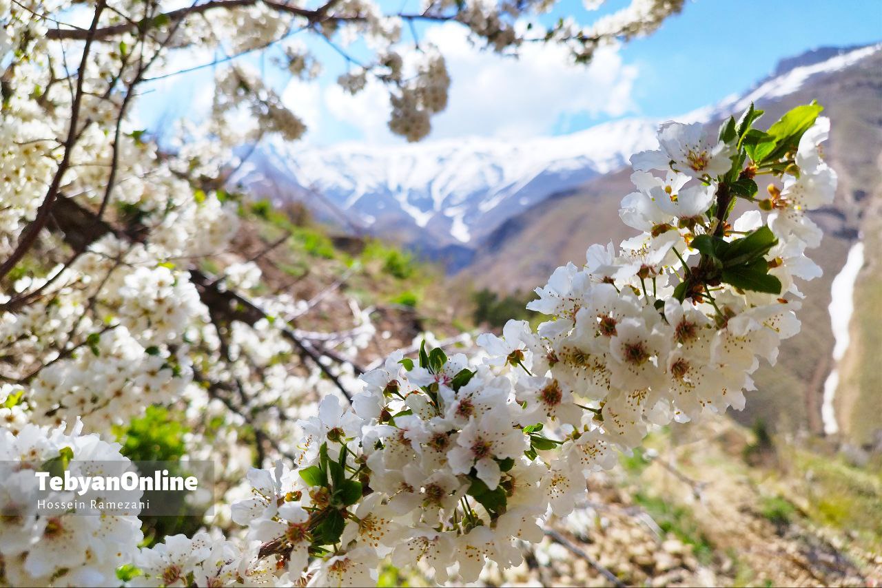 آبشار خور؛ یک شگفتی خوش‌آب‌وهوا نزدیک تهران 