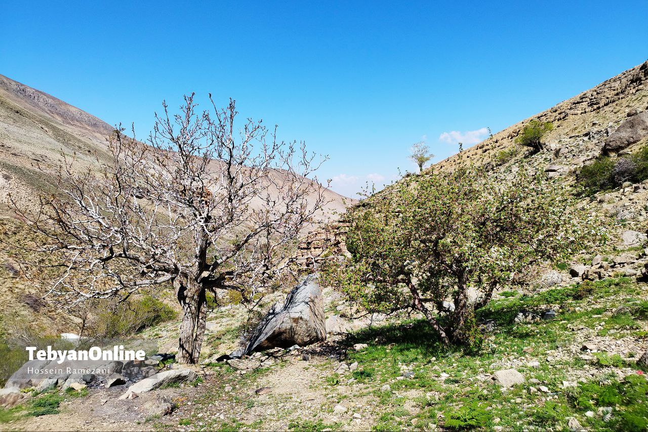 آبشار خور؛ یک شگفتی خوش‌آب‌وهوا نزدیک تهران 