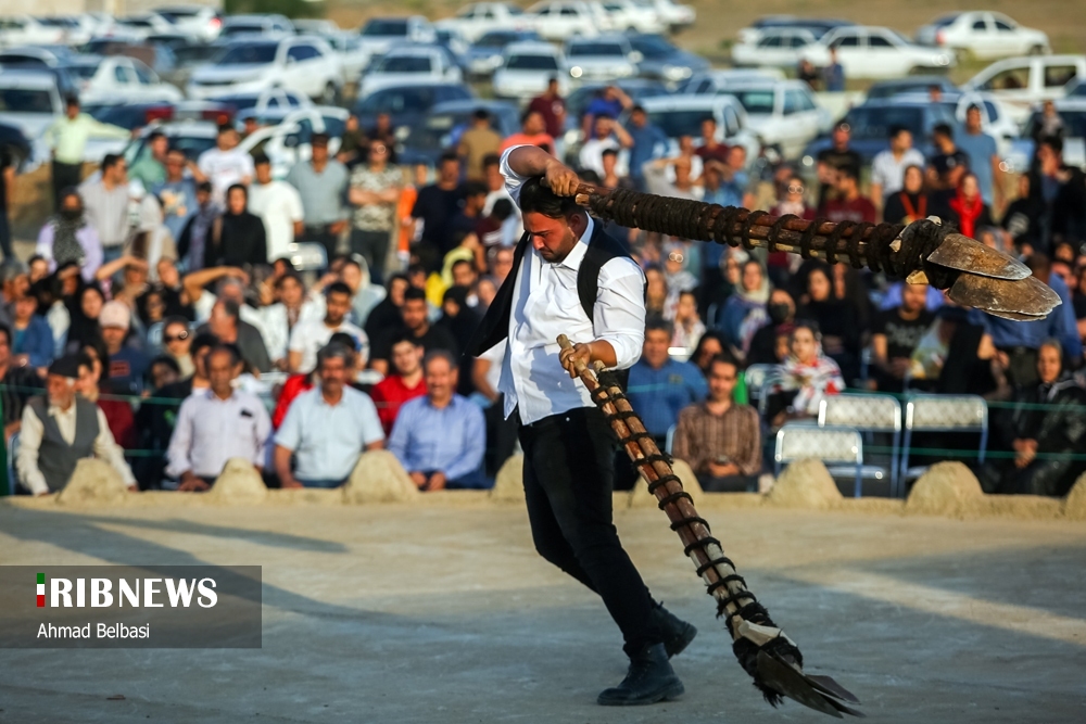 عکس/ آئین سنتی پهلوانی بیل گردانی در "نیم ور" استان مرکزی