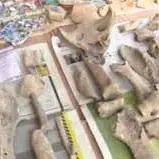 کشف آثار تاریخی از دوره‌های تیموری و صفویه در گرگان