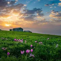 طبیعت بهاری و زیبای ییلاق «اولسبلنگاه» در گیلان 