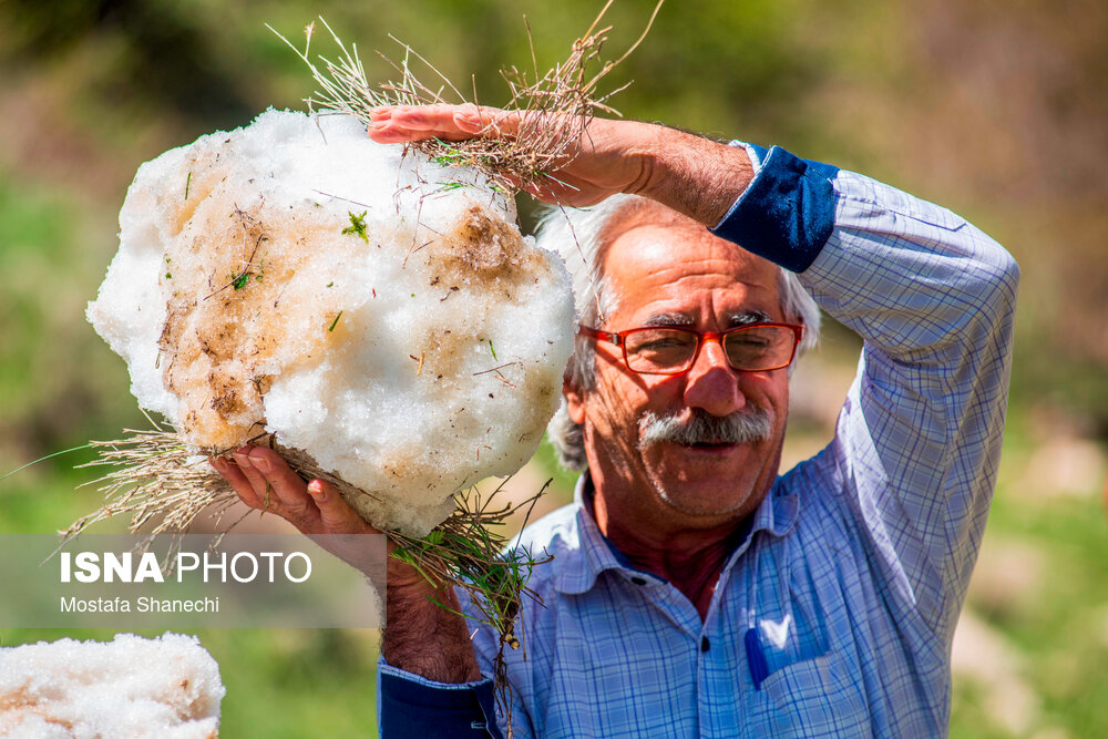 عکس/ آیین «ورف چال» در روستای «آب اسک» آمل