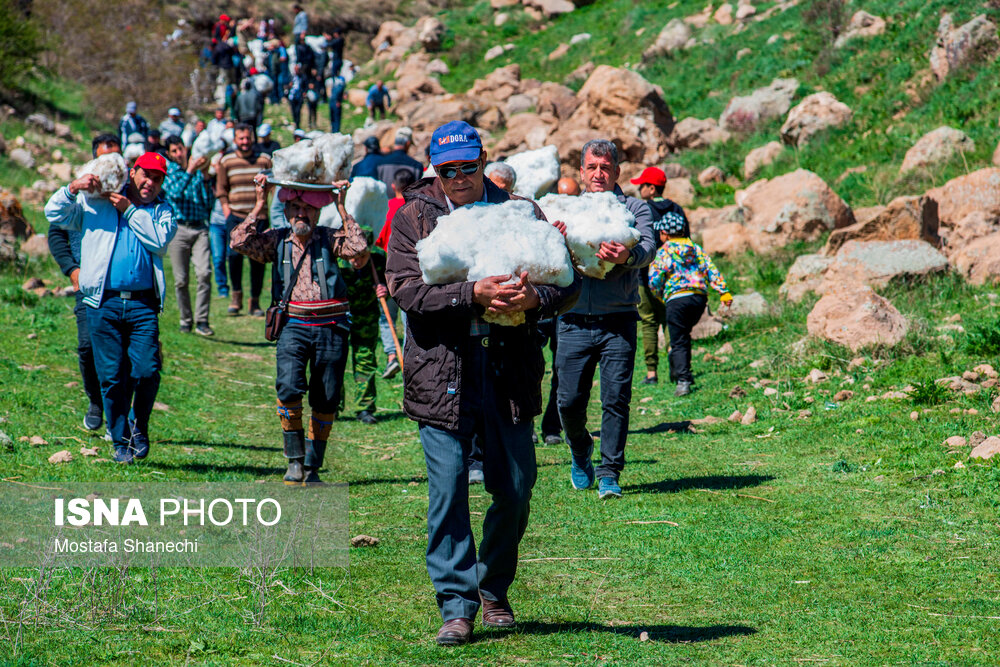 عکس/ آیین «ورف چال» در روستای «آب اسک» آمل