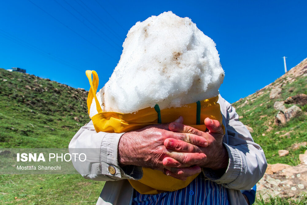 عکس/ آیین «ورف چال» در روستای «آب اسک» آمل