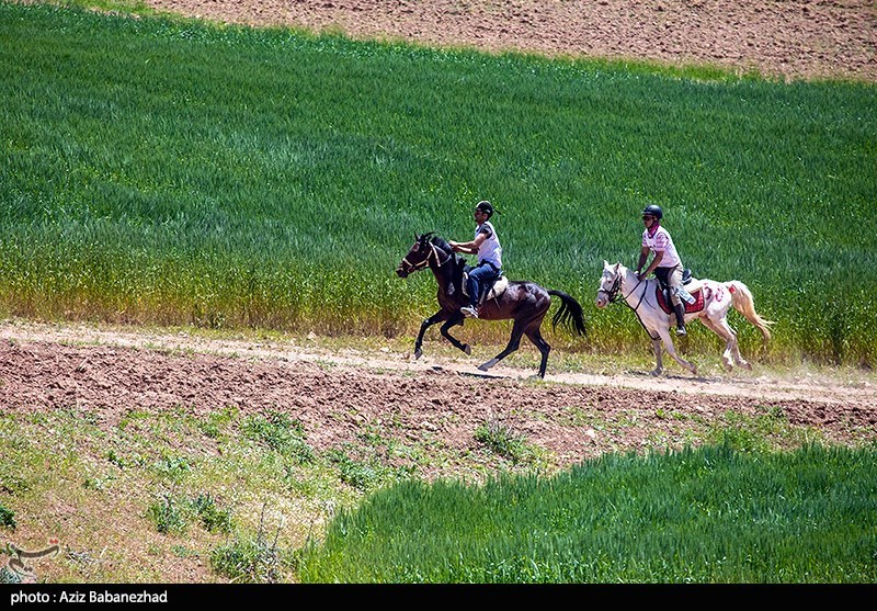 مسابقات کشوری اسب سواری استقامت در خرم آباد