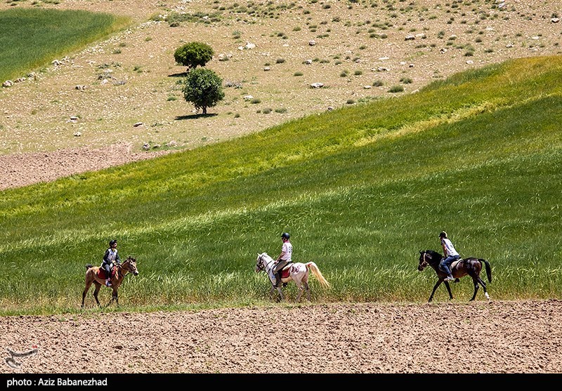 مسابقات کشوری اسب سواری استقامت در خرم آباد