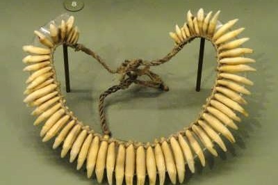 گوناگون/ استخراج DNA انسان باستانی از گردن‌آویزی ۲۰ هزار ساله