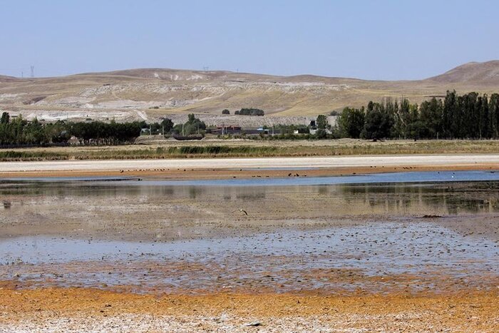 آیا زندگی به تالاب «قوری‌گل» باز می‌گردد؟