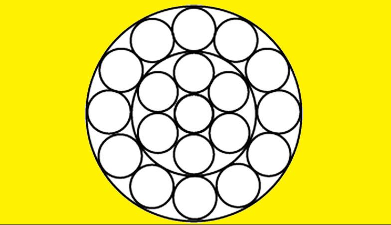 گوناگون/ فقط یک نابغه می‌تواند تعداد دقیق دایره‌ها را پیدا کند؟