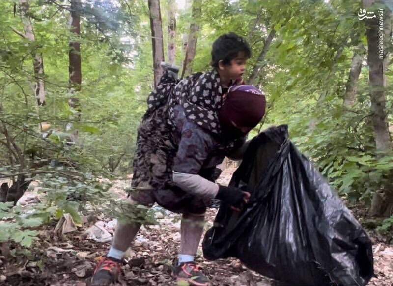 عکس/ پاکسازی جنگل گلستان از زباله های مسافرین توسط یک مادر