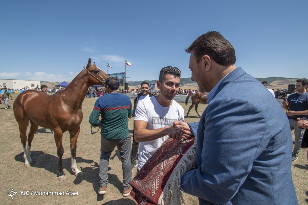 جشنواره ملی زیبایی اسب اصیل ترکمن