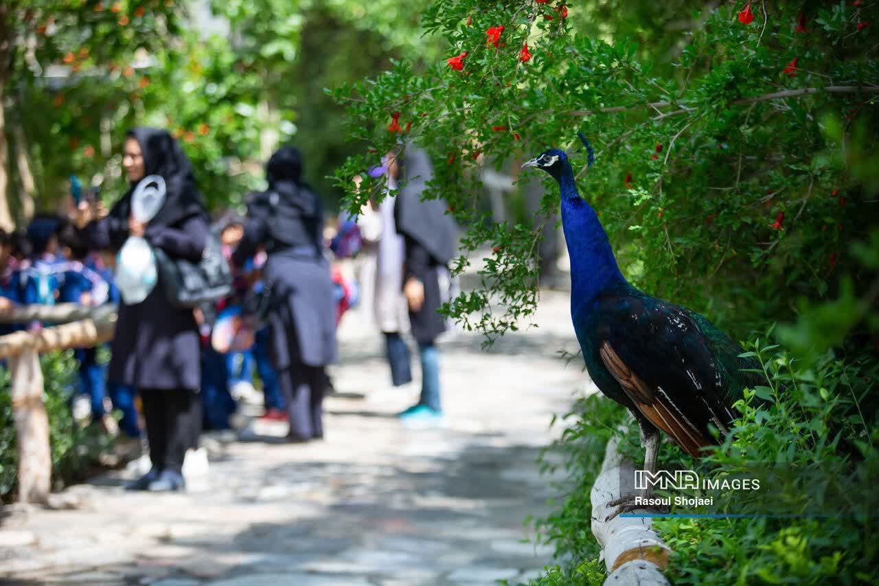 باغ پرندگان در اصفهان