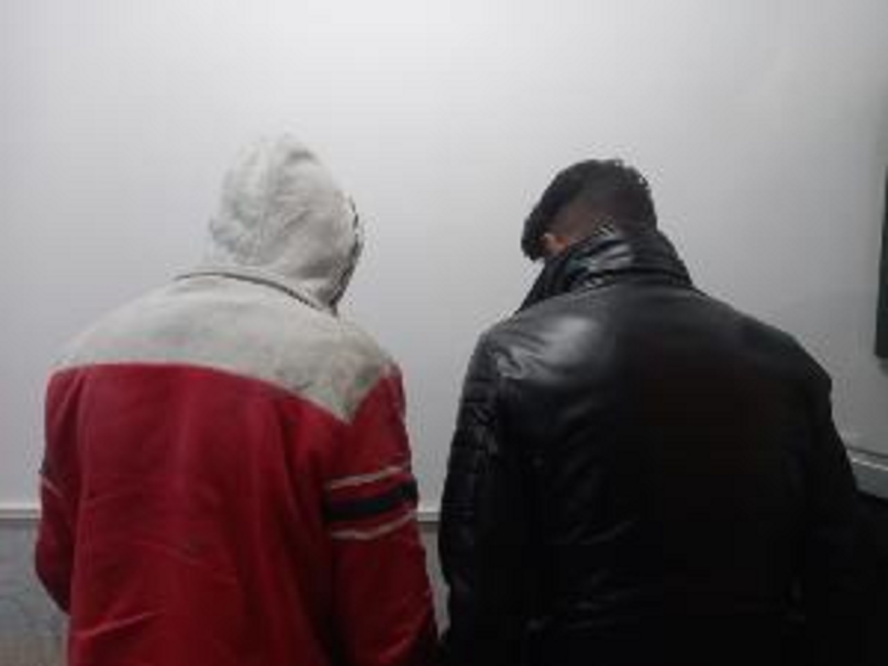 کشف ۲۰۰ راس دام مسروقه در میاندشت