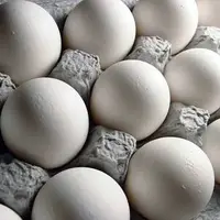 کاهش قیمت تخم‌مرغ در بازار 