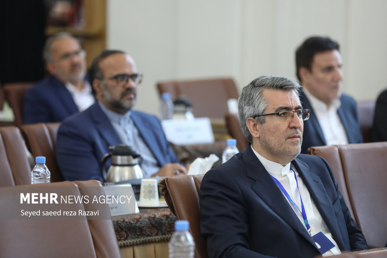 دیدار سفرای خارجی با وزیر بهداشت