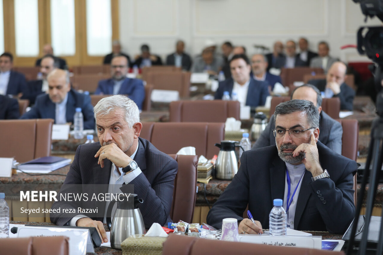 دیدار سفرای خارجی با وزیر بهداشت