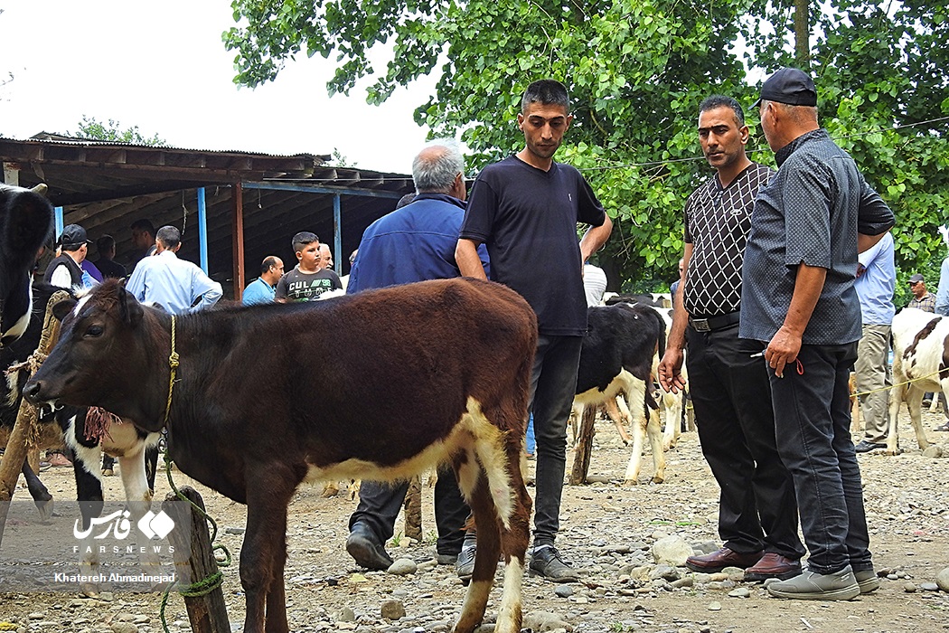 بازار مال فروشان گیلان