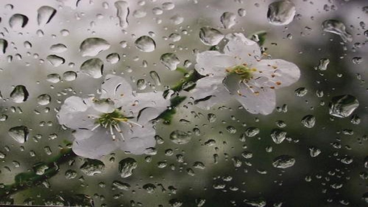 پیش‌بینی باد و باران برای لرستان