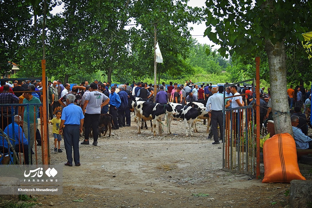 بازار مال فروشان گیلان