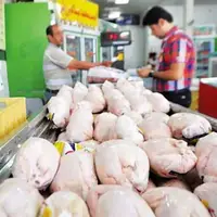 بازار نابسامان گوشت مرغ؛ هر کیلو ۷۳ تا ۸۵ هزار تومان