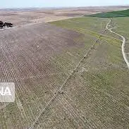 تحول کشاورزی خوزستان با اجرای مصوبه سفر دولت در زمینه طرح ۵۵۰ هزار هکتاری