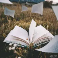 داستانک/ قهرمانی با یک امید