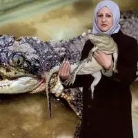 این زن نخستین پرورش دهنده کروکودیل در ایران است