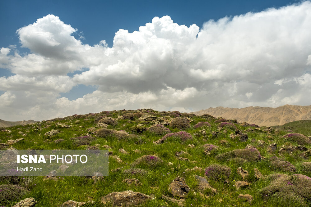 دشت لار؛ بهشت تماشایی در جوار دماوند