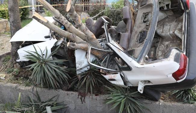۳ کشته و مجروح در برخورد مرگبار پراید با یک درخت! | خبرگزاری فارس