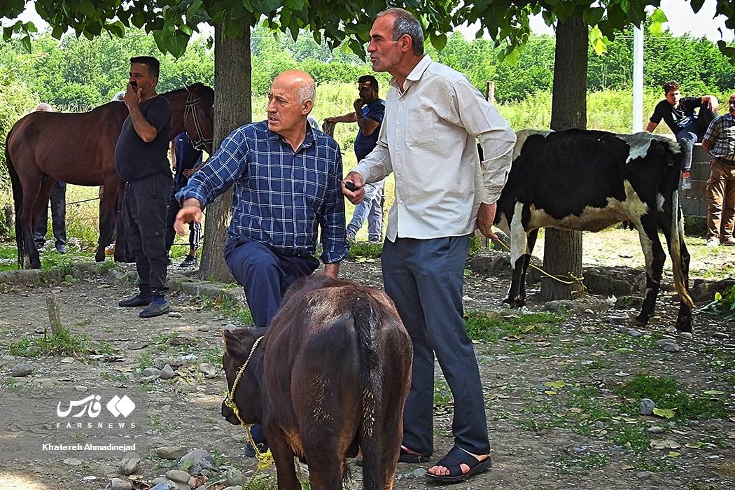 بازار مال فروشان گیلان