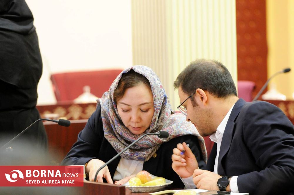 دیدار رییس کمیته پارالمپیک آسیا با وزیر ورزش و جوانان