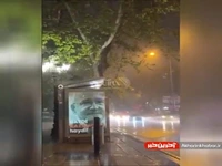 قابی غم انگیز برای هواداران قلیچداراوغلو در شب بارانی استانبول